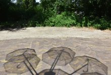 Lotti Baumann: op het Vogeleiland