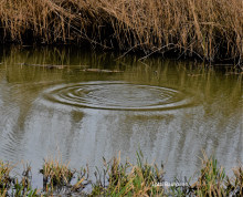 In het Zandweteringpark