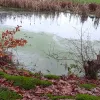 wandelen